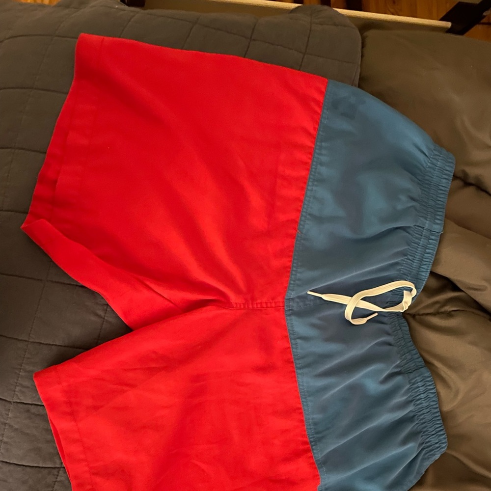 Chubbies bathing suit